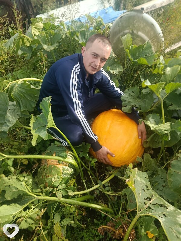 Андрей, 37, Чите — анкета №1495915