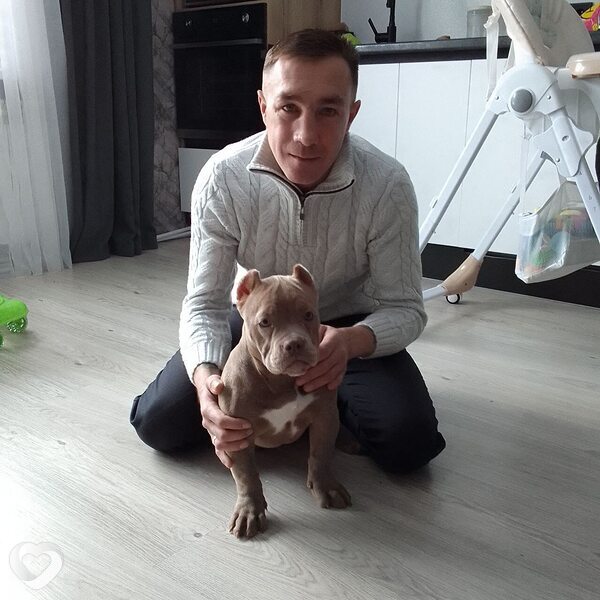 Анатолий, 43, Пензе — анкета №1497865