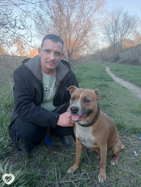 Shurik, 44, Семей — анкета №1498323