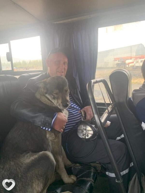 Сергей, 44, Рубцовске — анкета №1504315