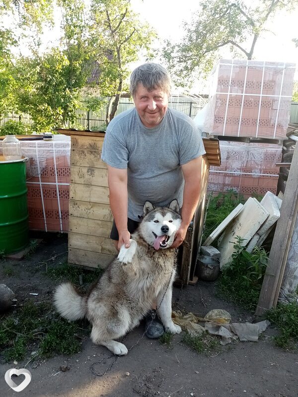 Юрий, 52, Воронеже — анкета №1506867