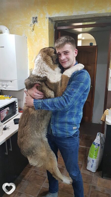 Александр, 29, Искитиме — анкета №1511807