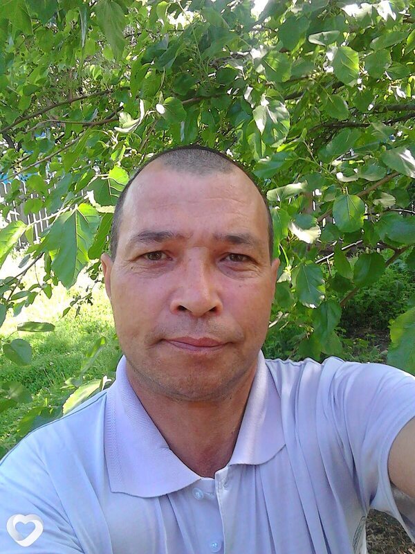 Vlad, Унгены