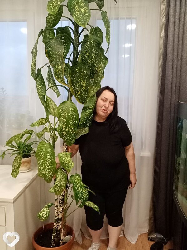 Елена, 51, Минске — анкета №1521674