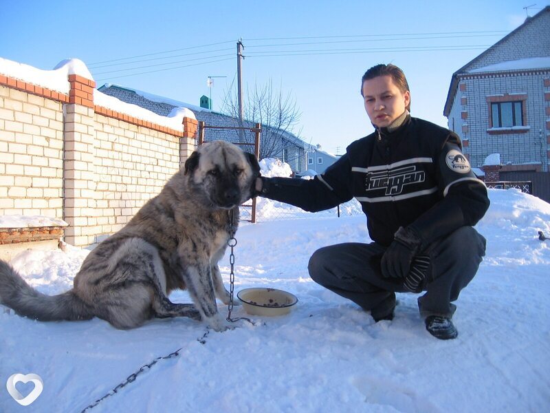 Анатолий, 38, Казани — анкета №1534395