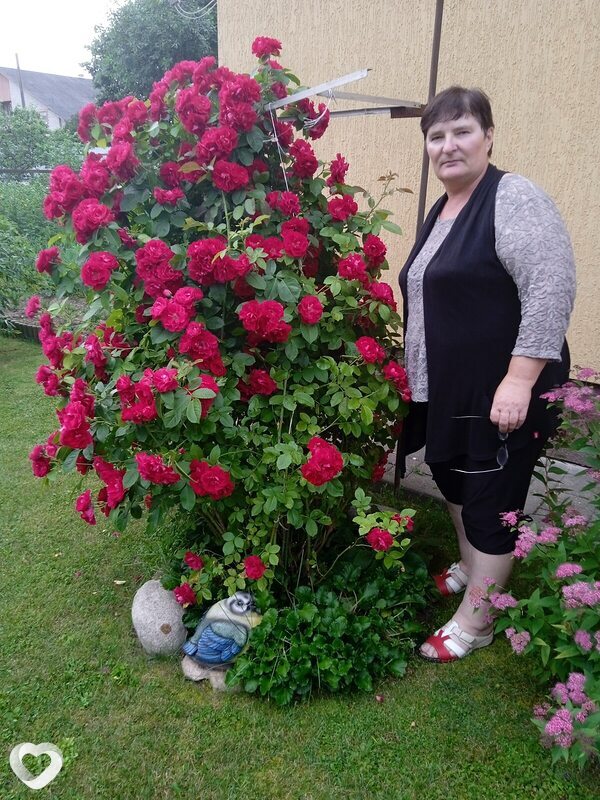 Софушка, 63, Пинске — анкета №1538339
