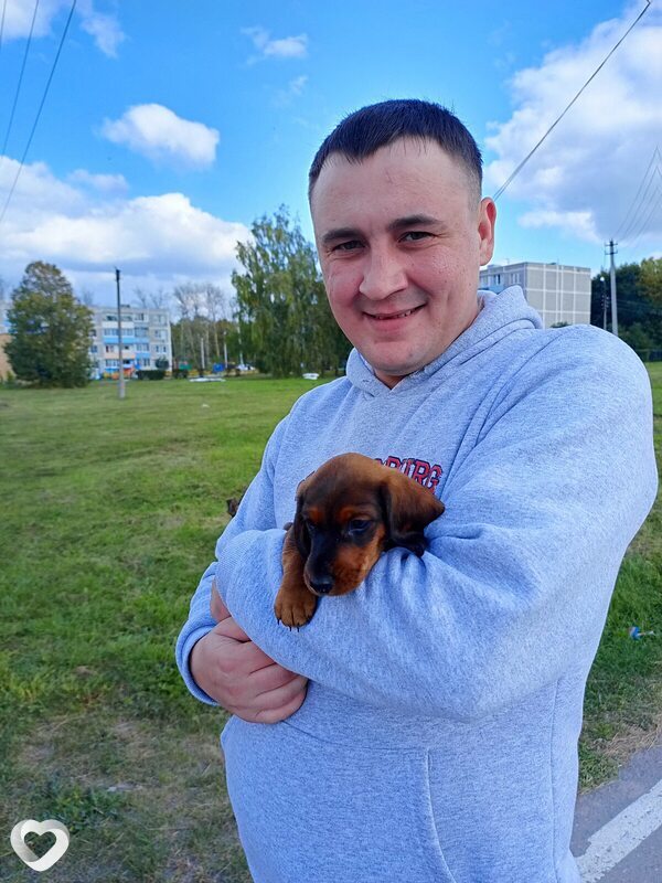 Кирилл, 33, Кашире — анкета №1539015