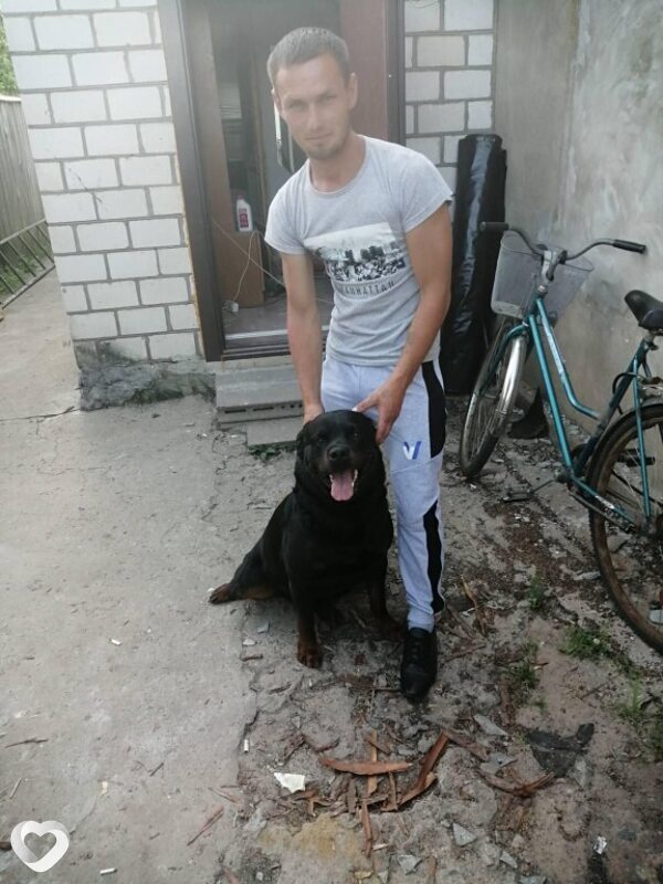 Алексей, 33, Рогачев — анкета №1546031