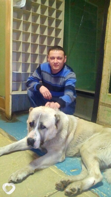 Денис, 43, Камышине — анкета №1546750