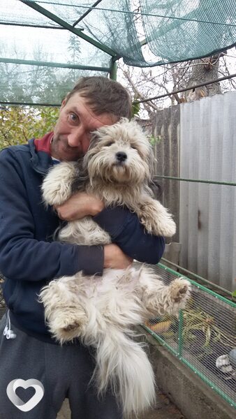 Максим, 43, Енакиеве — анкета №1547240