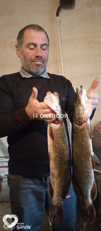 Давид, 45, Калининске — анкета №1551810