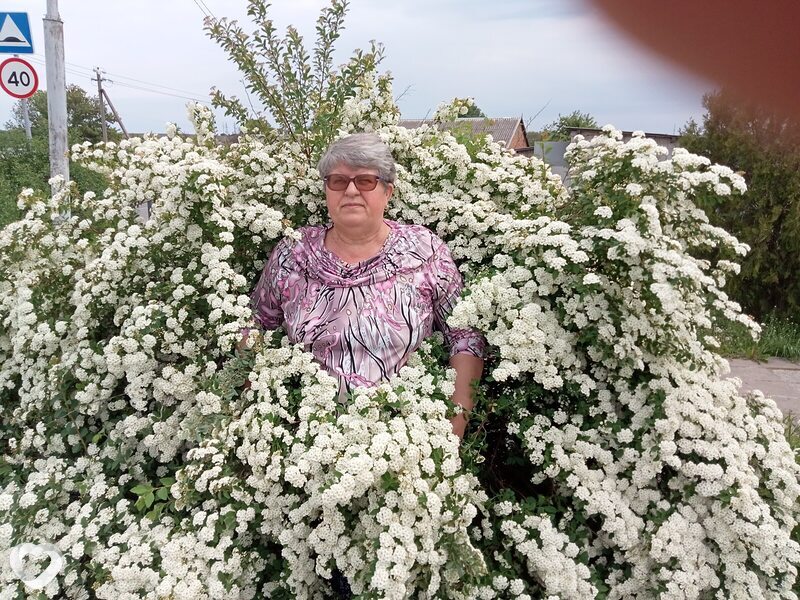 Галя, 64, Белгороде — анкета №1554717