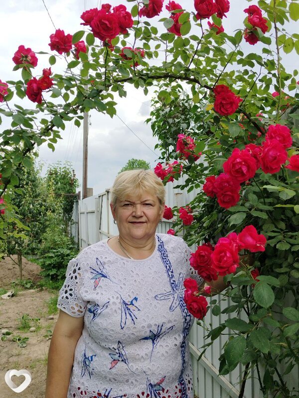 Наталья, 61, Минске — анкета №1556653