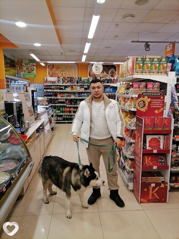 Лачин, 26, Ташкент — анкета №1557251