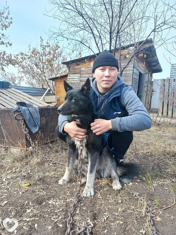 Алишер, 28, Костанае — анкета №1560287