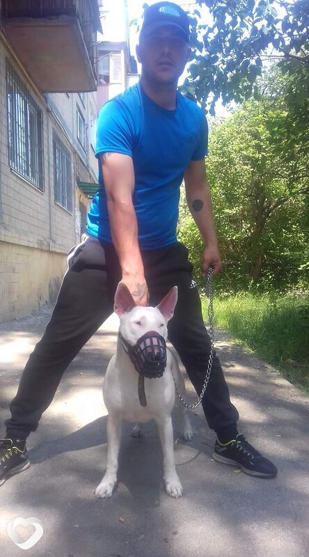 Нико, 36, Киеве — анкета №1565847