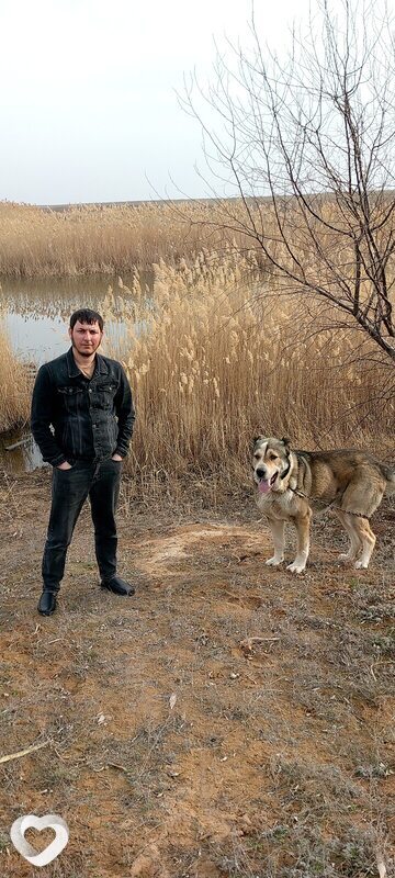 Зелим, 34, Волгограде — анкета №1565988