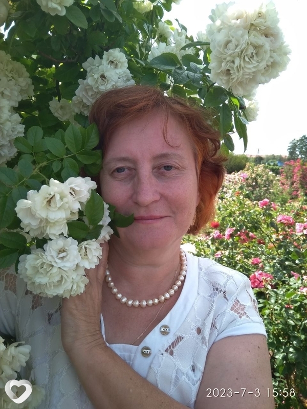 Лариса, 64, Минске — анкета №1571525