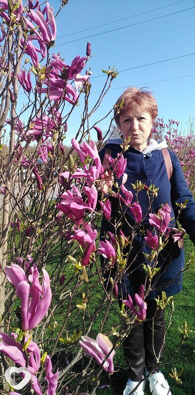 Татьяна, 69, Геленджике — анкета №1575562