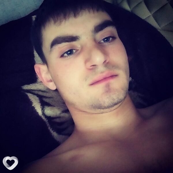Vlad, Житикара