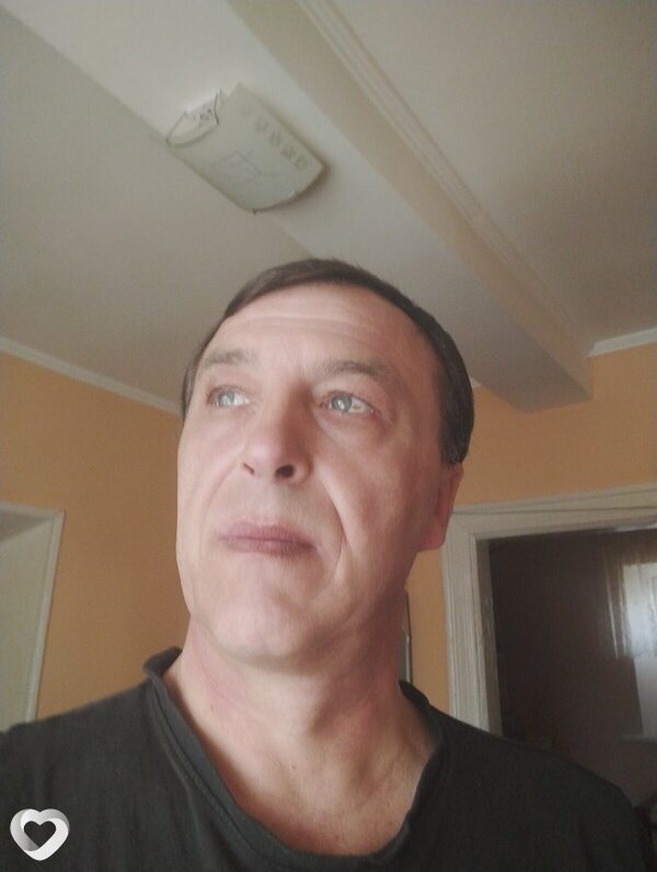 Кот, Фастов