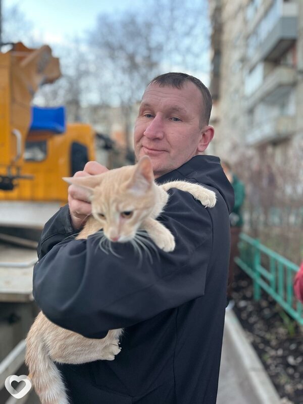 Андрей, 50, Пушкино (Московская Обл) — анкета №1585855