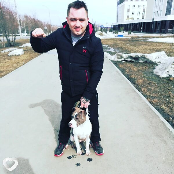 Иван, 35, Пушкино (Московская Обл) — анкета №1588240