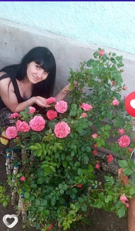 Света, 34, Черновцах — анкета №1588654