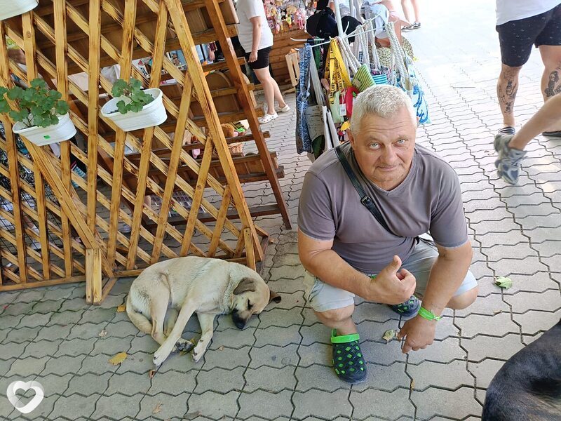Анатолий, 57, Ярославле — анкета №1596318