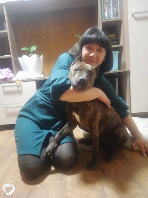 Наталья, 44, Омске — анкета №1604779