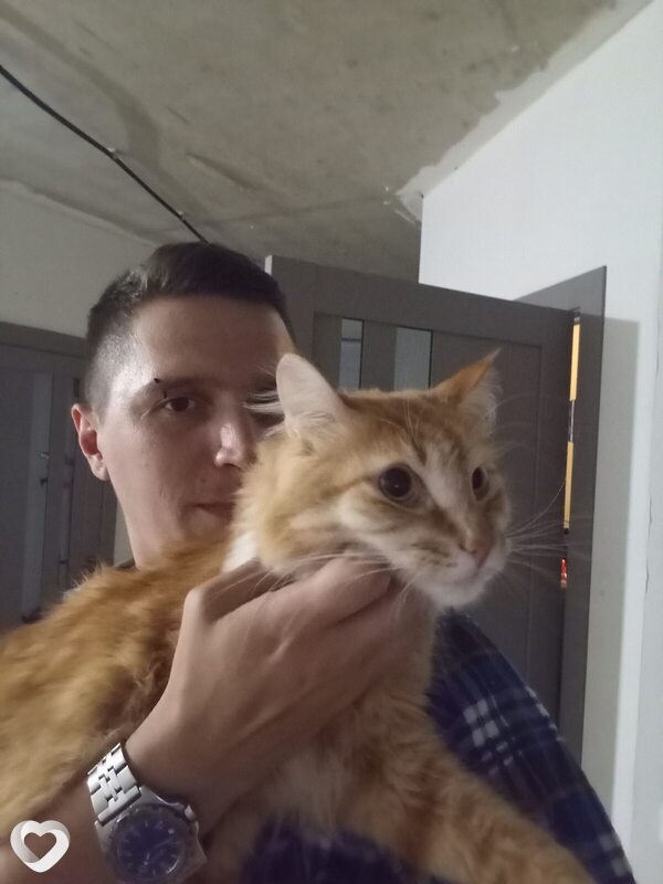 Дмитрий, 36, Санкт-Петербурге — анкета №1605070
