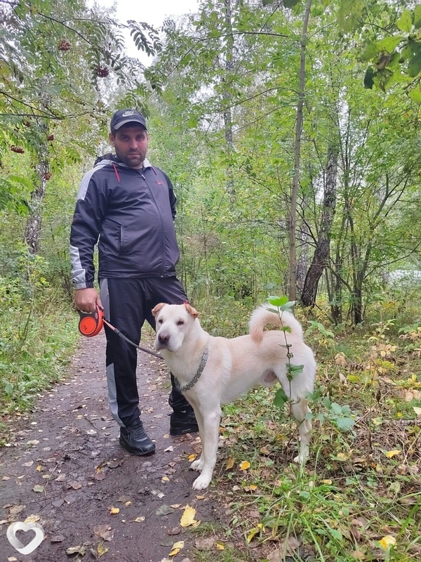 Михаил Л, 34, Новосибирске — анкета №1606541