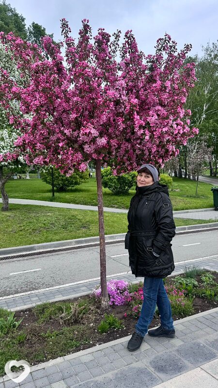 Наталья, 55, Новосибирске — анкета №1612171