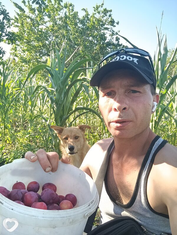 Владимир, Донское