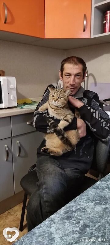 Максим, 43, Ульяновске — анкета №1627125