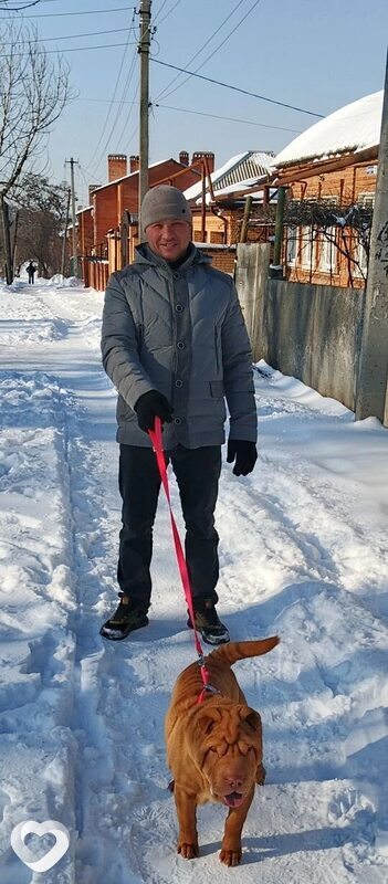 Александр, 40, Ростове-на-Дону — анкета №1629657