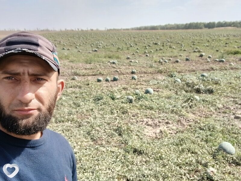 Шамил, 35, Ессентуках — анкета №1629971
