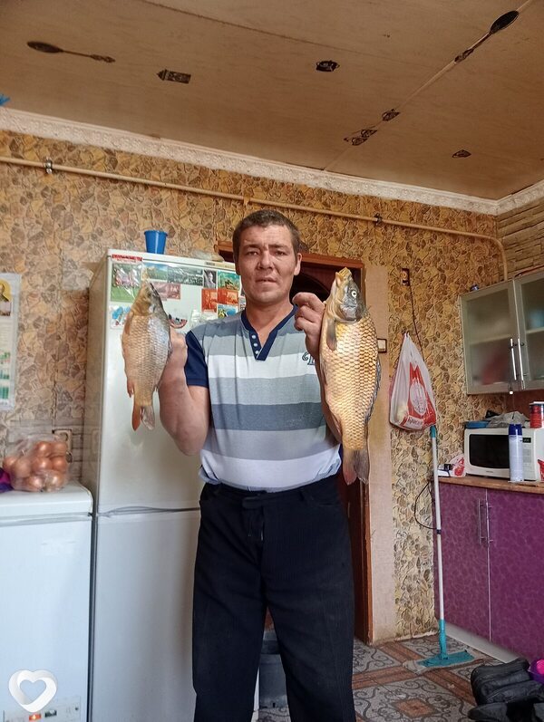 Талян, Волоконовка