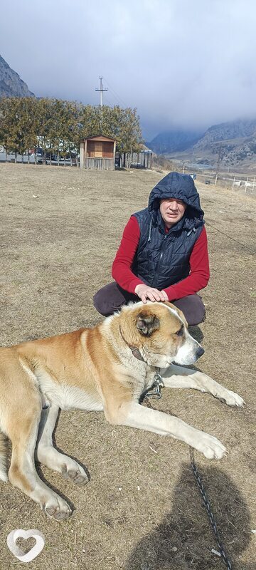 Серго, 56, Нальчике — анкета №1641379
