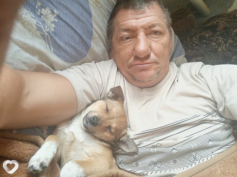 Михаил, Котово