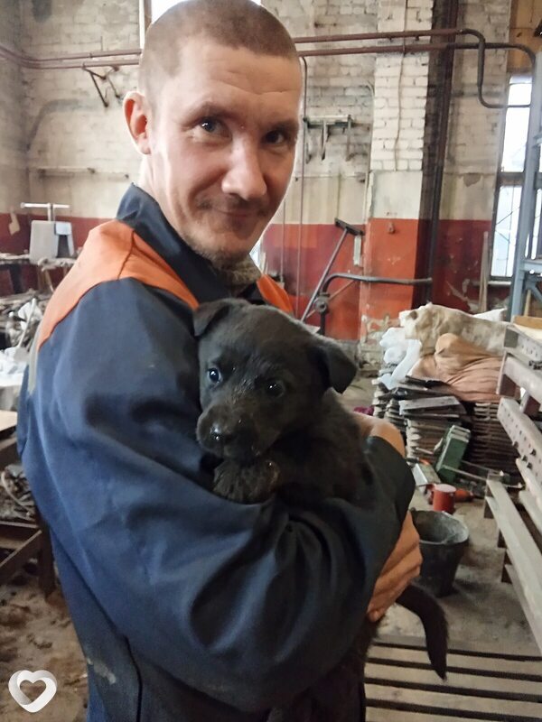 Алексей, 41, Клине — анкета №1647434