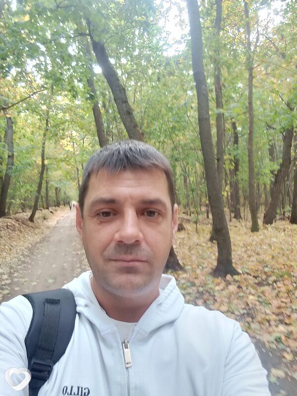Андрей, Кошки