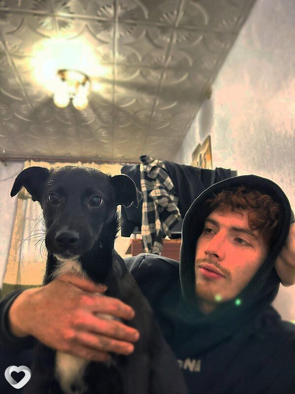 Максим, 23, Новополоцке — анкета №1651689