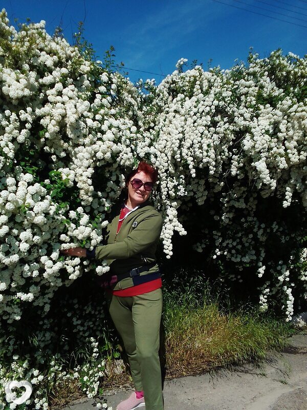 Елена, 53, Запорожье — анкета №1659434