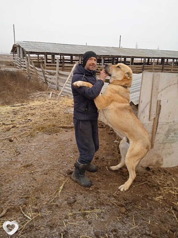 Михаил, 52, Астрахани — анкета №1661038