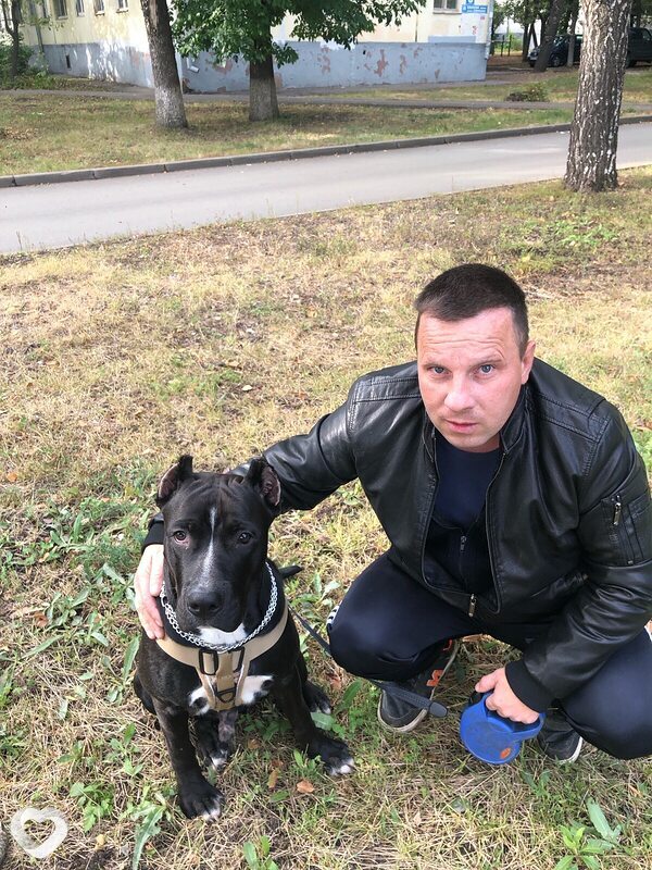 Михаил, 45, Уфе — анкета №1661843