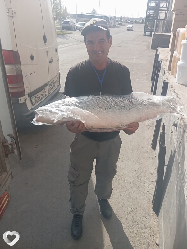 Rashid, 51, Алматы — анкета №1663799