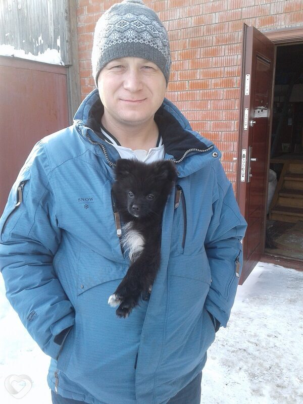 Александр, 44, Кирове — анкета №1677718