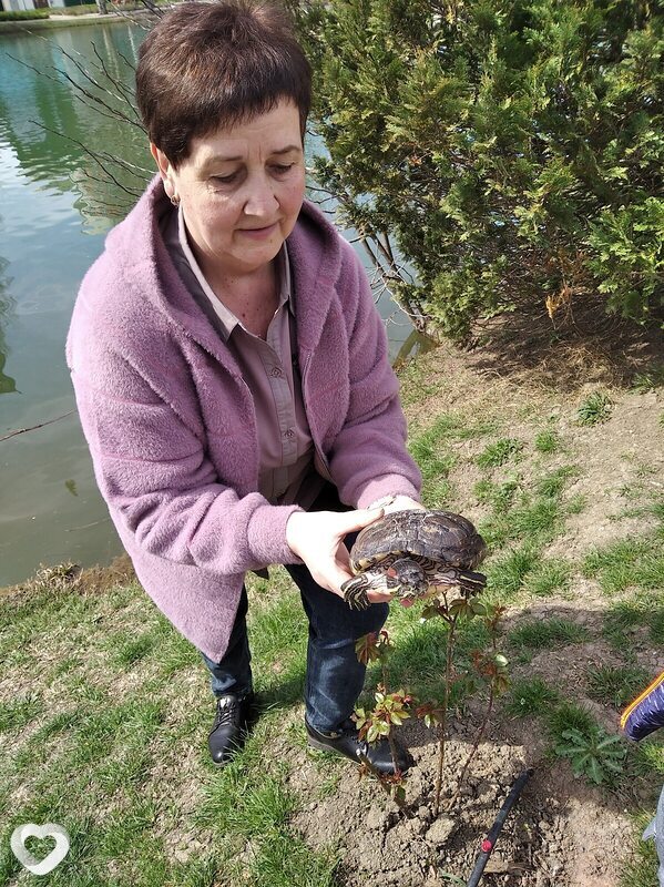 Наталья, 59, Джанкое — анкета №1680998