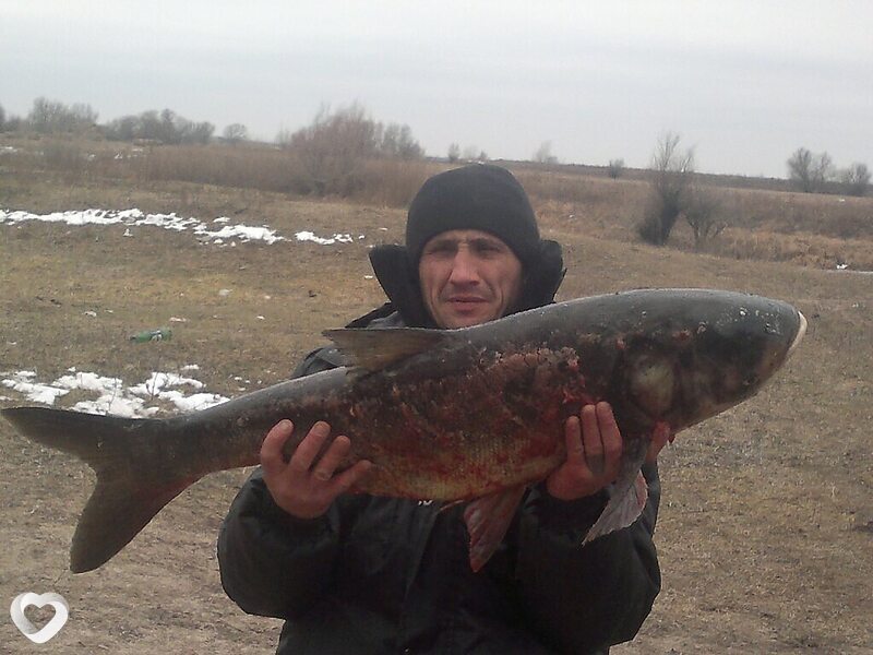 Михаил, 50, Орёл — анкета №1684751